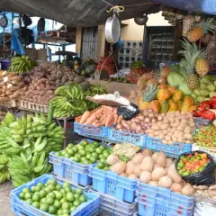 Kolorowy targ na Dominikanie. Świeże owoce i warzywa, takie jak banany, ananasy, papaje, pomidory, papryka i cytrusy. Ceny w sklepach kuszą obfitością.