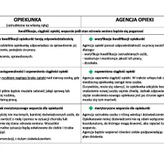 Zakres obowiązków opiekunki osoby starszej: samodzielna weryfikacja kwalifikacji, ryzyko braku ciągłości opieki, brak wsparcia merytorycznego.