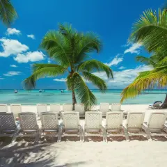 Rajska plaża z palmami i leżakami. Marzysz o wakacjach? Dominikana ile trwa lot? Warto wiedzieć, by zaplanować idealny wypoczynek.